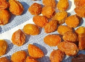 تصویر 2 از خرید و فروش آلو بخارا اصل با شرایط فوق العاده